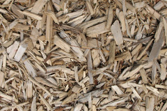 biomass boilers Meifod